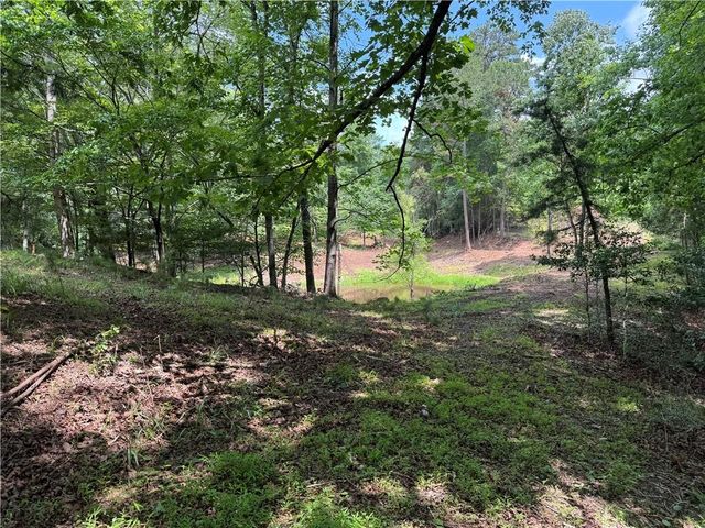 3.5 AC Ben Higgins Road, Dahlonega, GA 30533