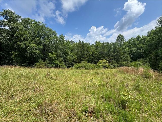 3.5 AC Ben Higgins Road, Dahlonega, GA 30533