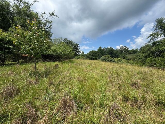 3.5 AC Ben Higgins Road, Dahlonega, GA 30533