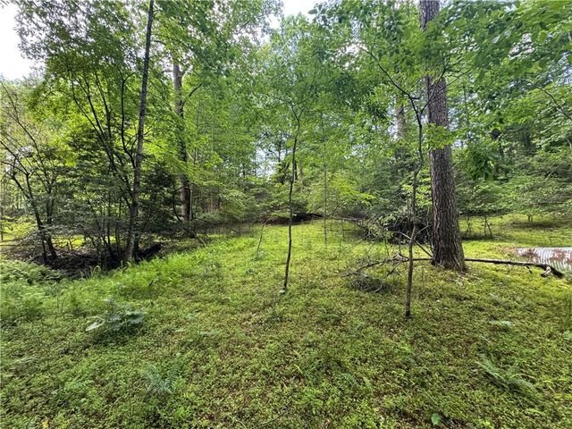 3.5 AC Ben Higgins Road, Dahlonega, GA 30533