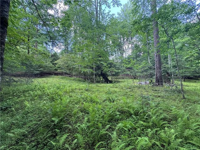 3.5 AC Ben Higgins Road, Dahlonega, GA 30533