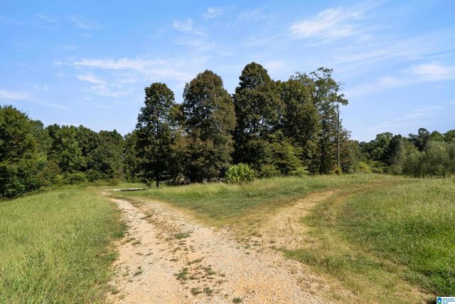 235 GRAHAM ROAD, Pell City, AL 35125