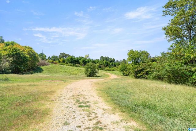 235 GRAHAM ROAD, Pell City, AL 35125