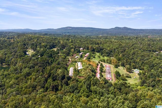 235 GRAHAM ROAD, Pell City, AL 35125