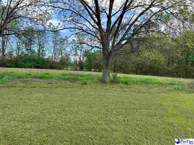 2709 Newton Road, Mccoll, SC 29570