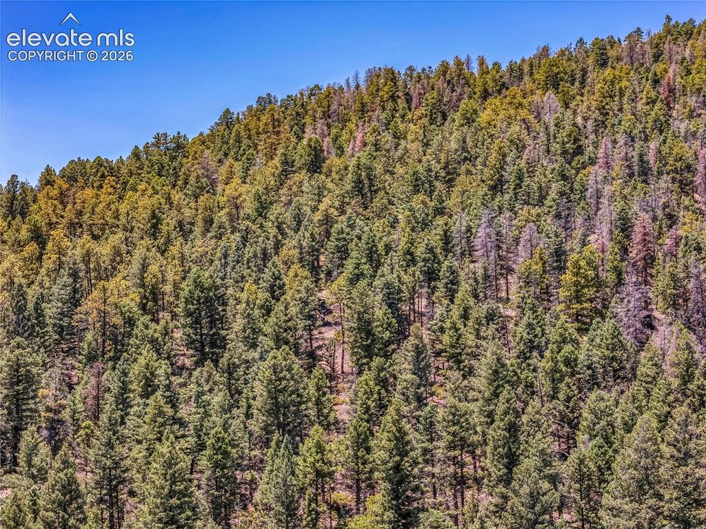 TBD Tallahassee Lane, Canon City, CO 81212 — photo 4