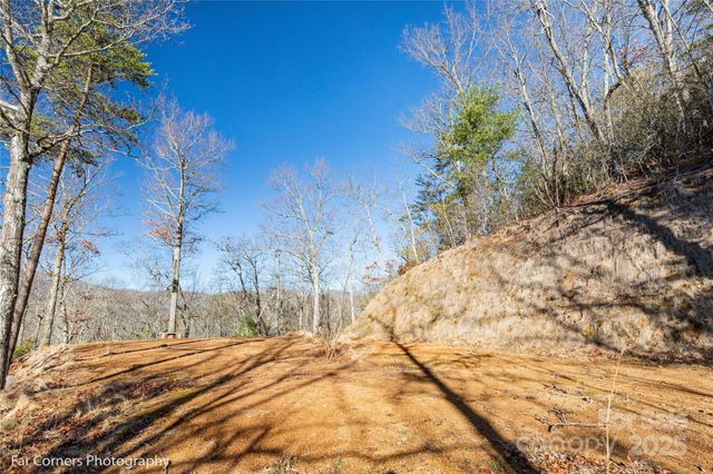 0000 Sourwood Road, Canton, NC 28716