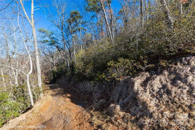 0000 Sourwood Road, Canton, NC 28716