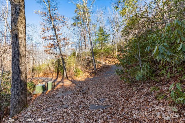 0000 Sourwood Road, Canton, NC 28716