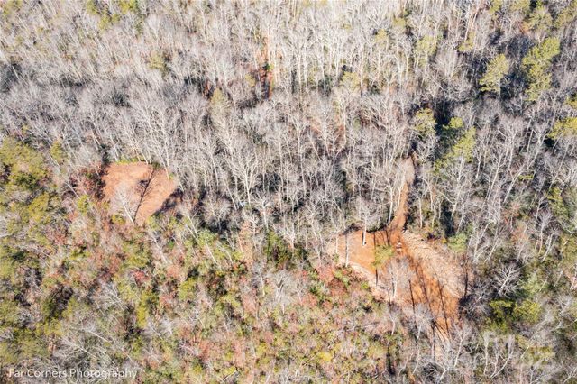 0000 Sourwood Road, Canton, NC 28716