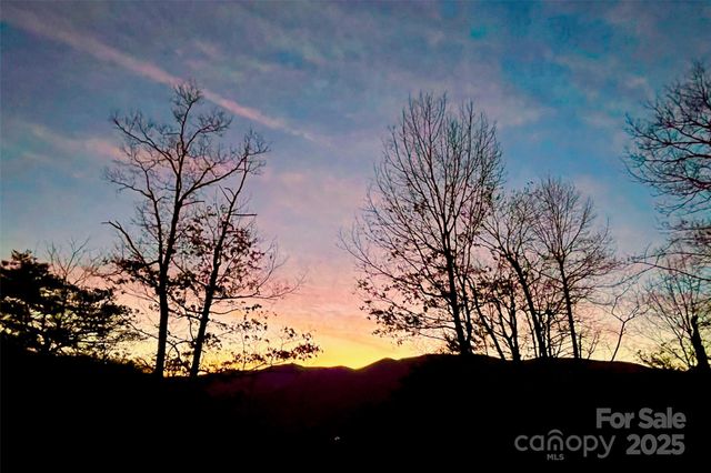 0000 Sourwood Road, Canton, NC 28716