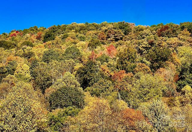 0000 Sourwood Road, Canton, NC 28716