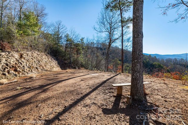 0000 Sourwood Road, Canton, NC 28716
