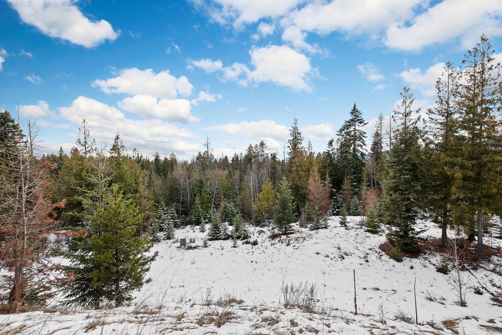 2911 Snowghost Drive, Whitefish, MT 59937 photo 53