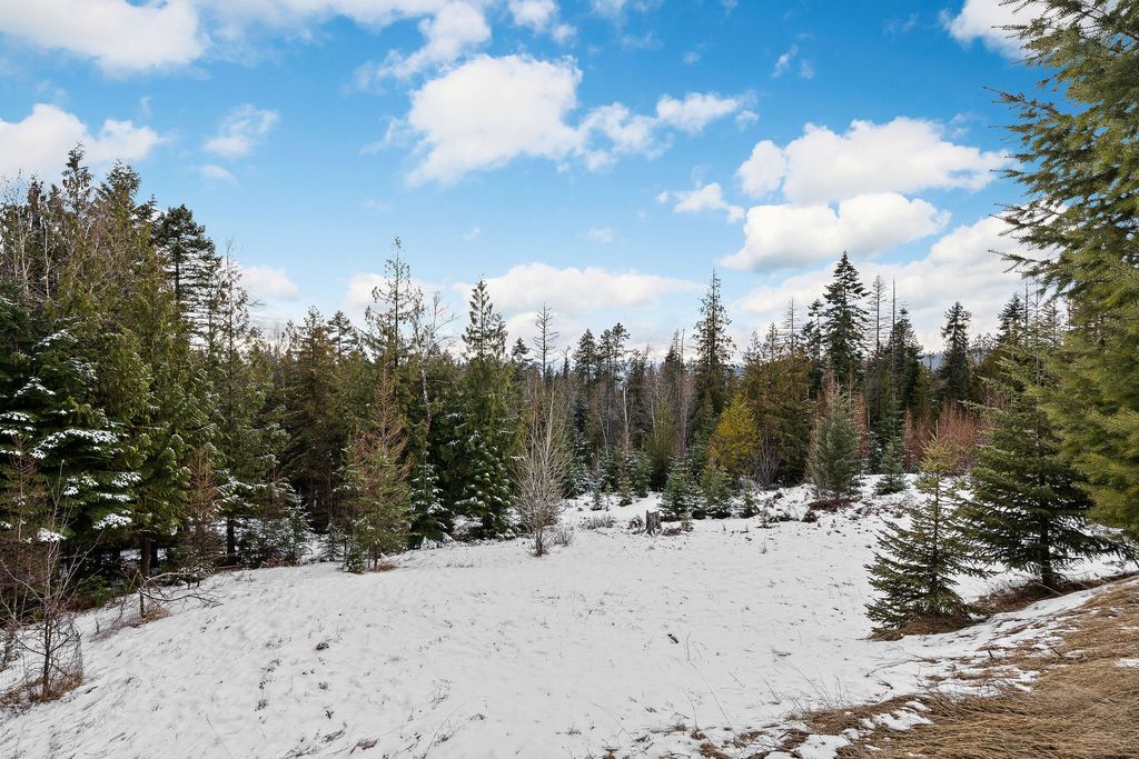 2911 Snowghost Drive, Whitefish, MT 59937 photo 54