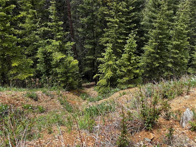 00 Forbes Rd, Fort Garland, CO 81133