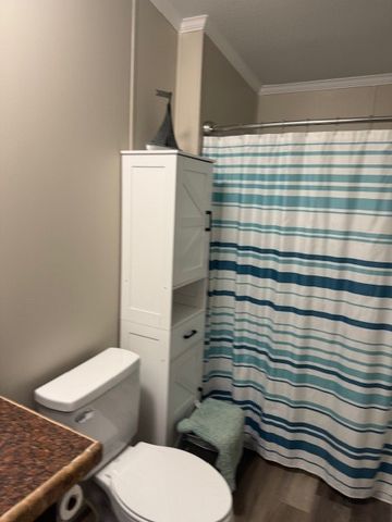 117 M Anthony Loop, Graford, TX 76449