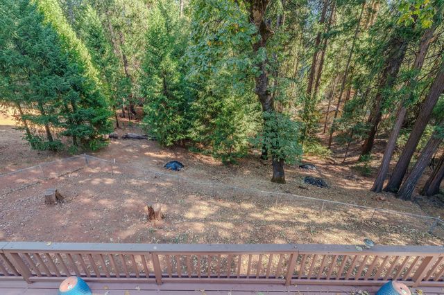 27054 Skyview Ct, Pioneer, CA 95666