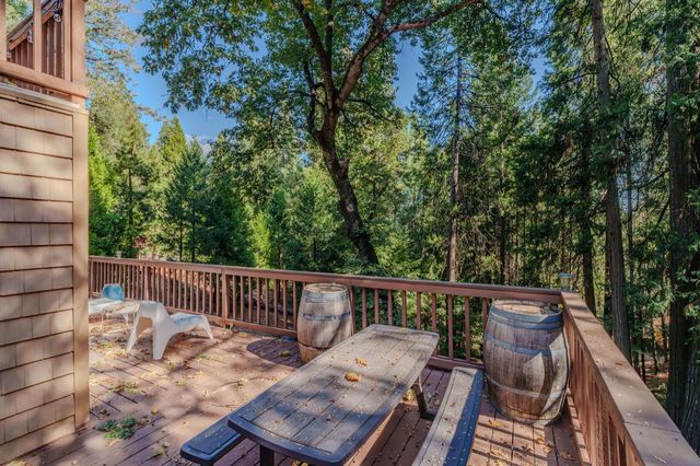 27054 Skyview Ct, Pioneer, CA 95666