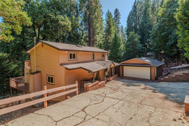 27054 Skyview Ct, Pioneer, CA 95666