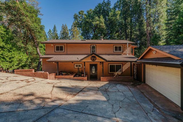 27054 Skyview Ct, Pioneer, CA 95666