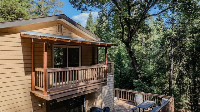 27054 Skyview Ct, Pioneer, CA 95666