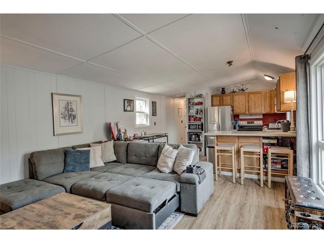 56 Magnum Bonum Dr, Breckenridge, CO 80424