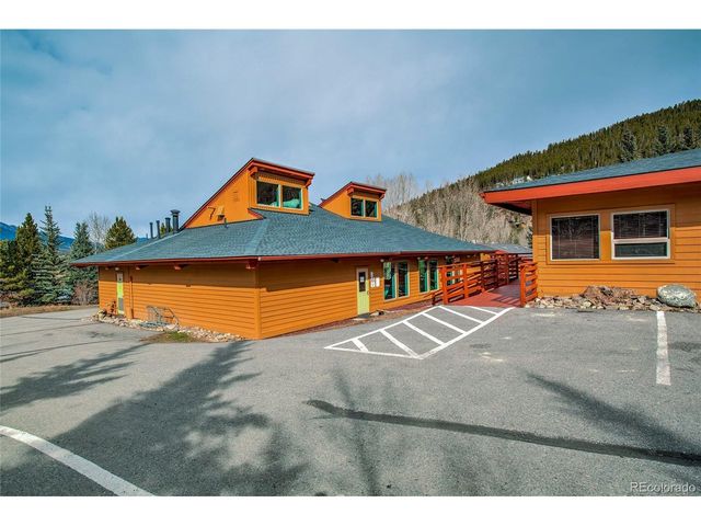 56 Magnum Bonum Dr, Breckenridge, CO 80424