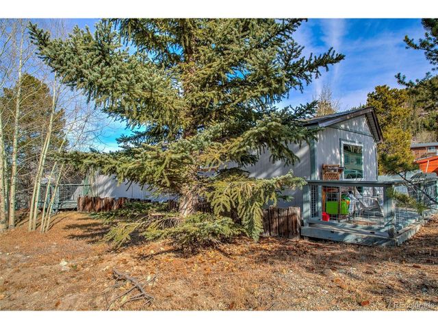 56 Magnum Bonum Dr, Breckenridge, CO 80424
