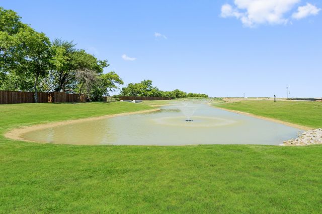 1002 Birkdale Drive, Justin, TX 76247
