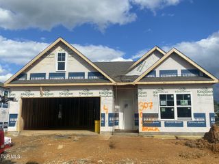 307 Cookie Loop, Gray, TN 37615