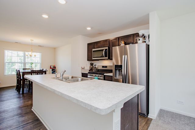 2517 Alison Avenue, Pingree Grove, IL 60140