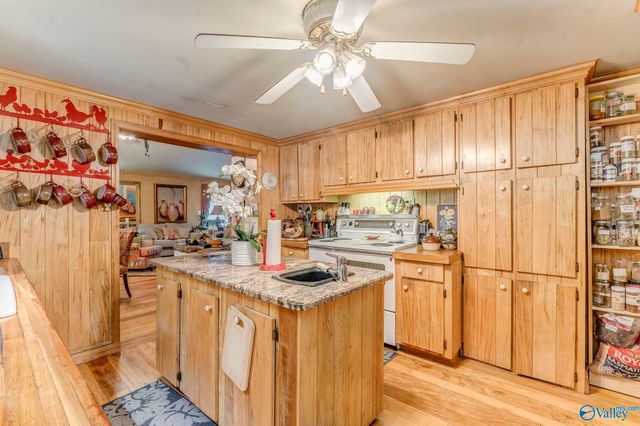 7871 Hwy 117, Valley Head, AL 35989