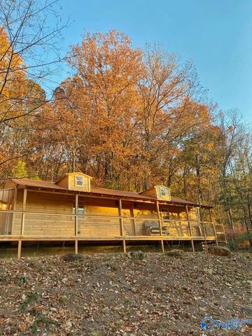 7871 Hwy 117, Valley Head, AL 35989