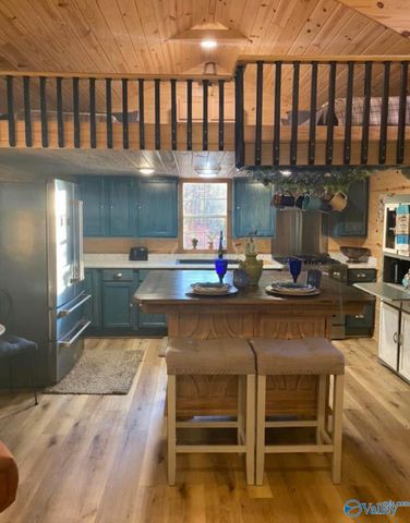 7871 Hwy 117, Valley Head, AL 35989