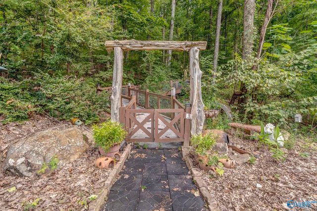 7871 Hwy 117, Valley Head, AL 35989