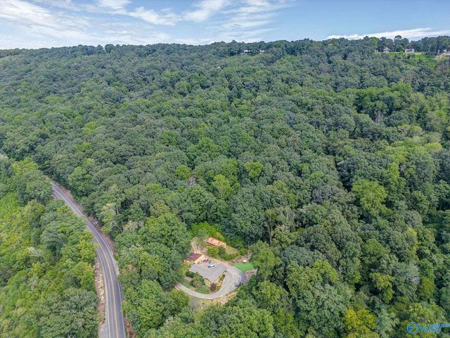 7871 Hwy 117, Valley Head, AL 35989