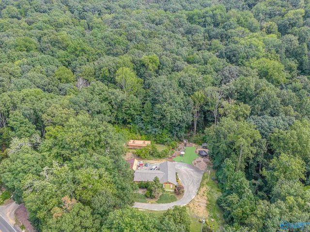 7871 Hwy 117, Valley Head, AL 35989