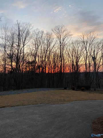 7871 Hwy 117, Valley Head, AL 35989