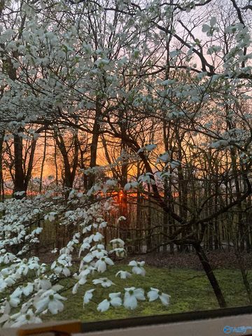 7871 Hwy 117, Valley Head, AL 35989