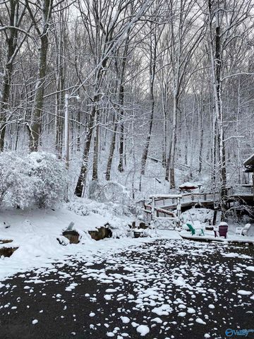 7871 Hwy 117, Valley Head, AL 35989