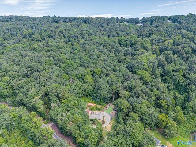 7871 Hwy 117, Valley Head, AL 35989