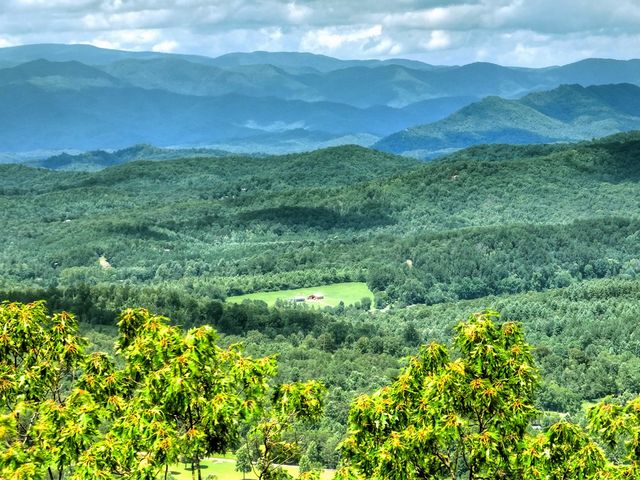 1170 Winchester Creek, Young Harris, GA 30582