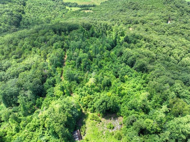 1170 Winchester Creek, Young Harris, GA 30582