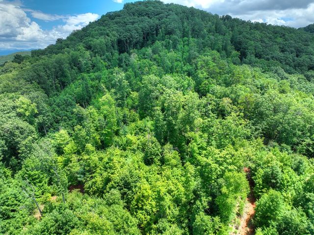 1170 Winchester Creek, Young Harris, GA 30582