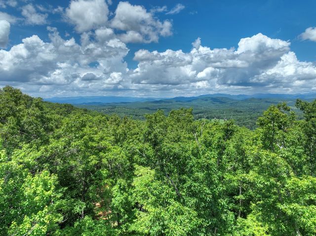 1170 Winchester Creek, Young Harris, GA 30582