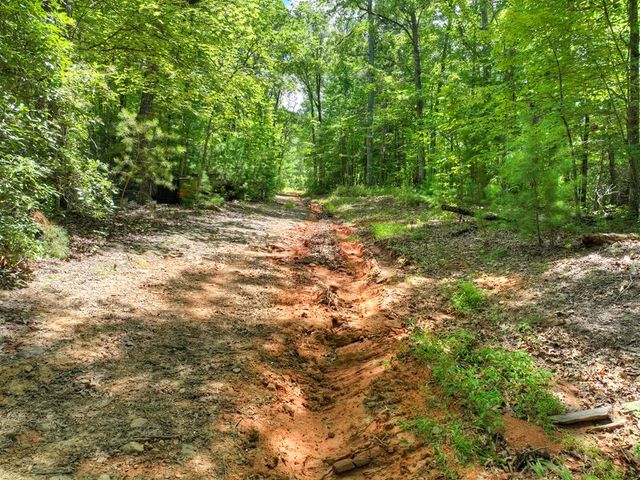 1170 Winchester Creek, Young Harris, GA 30582