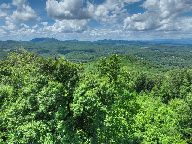 1170 Winchester Creek, Young Harris, GA 30582