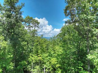1170 Winchester Creek, Young Harris, GA 30582
