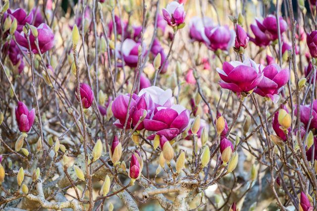 5615 Ludwig Ave, El Cerrito, CA 94530